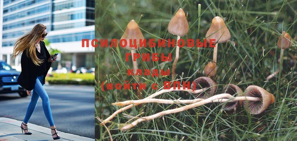 МДПВ Балахна